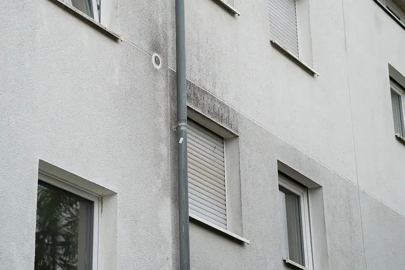Nahaufnahme von Algen- und Pilzbewuchs auf einer Wärmedämmverbundsystem-Fassade