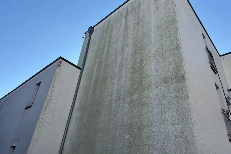 Grünalgen in breiten Laufspuren auf der Putzfassade des Studentenwohnheims in Lippstadt