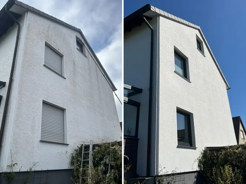 Giebelseite eines Einfamilienhauses in Spenge, links mit Grünbelag, rechts nach der Reinigung strahlend weiß