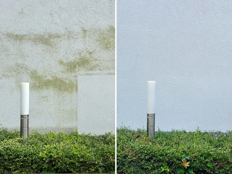 Putzfassade mit Algenbewuchs und gereinigter Probefläche (links), rechts dieselbe Wand nach der vollständigen Reinigung